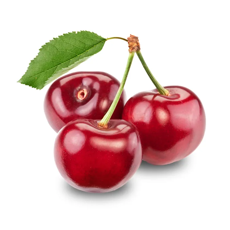 Wholesale Box Style Storage Packaging Tree Cherry Cherry Fresh Cherry Fruit Fresh