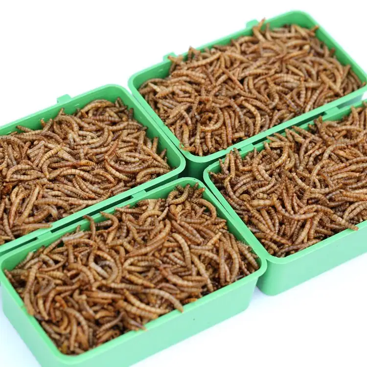 Top - grade Natural eco-friendly dried mealworms for animal food pet food