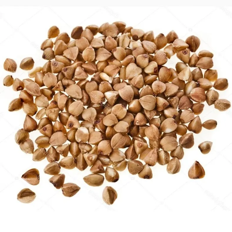 Non GMO wholesale price high quality dried buckwheat grain from Kazakhstan manufacturer agriculture crops in bulk