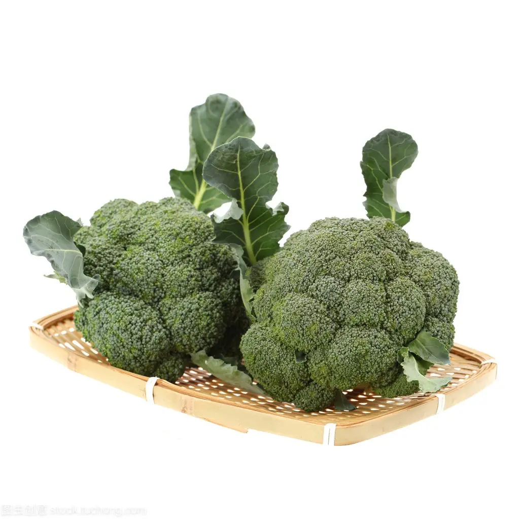 Frozen Organic Vegetables IQF Frozen Vegetable Broccoli With Good Price