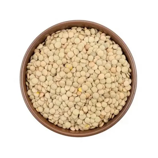 Organic lentils in bulk from Kazakhstan