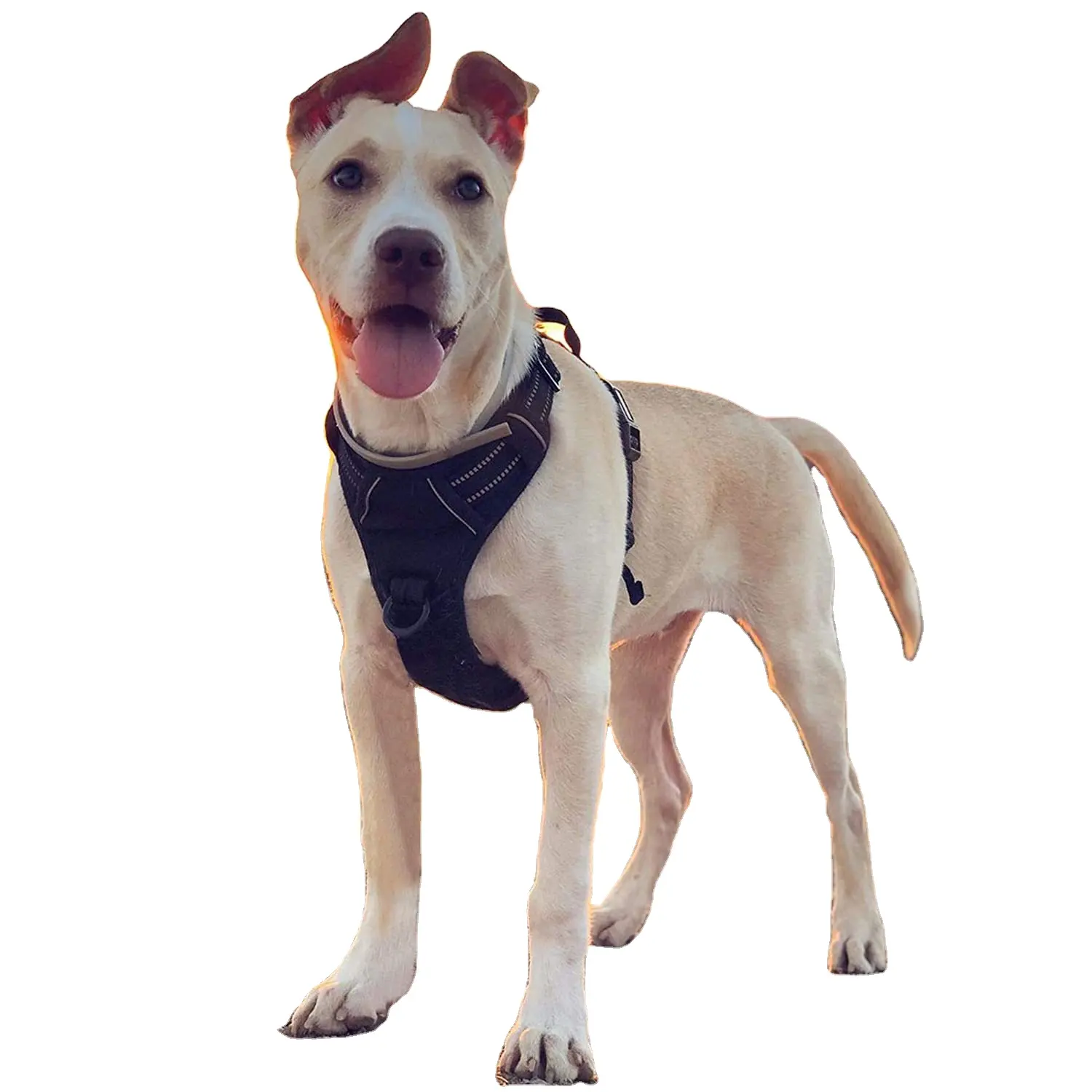 dog harness adjustable soft dog vest reflective no-choke oxford vest with easy control handle