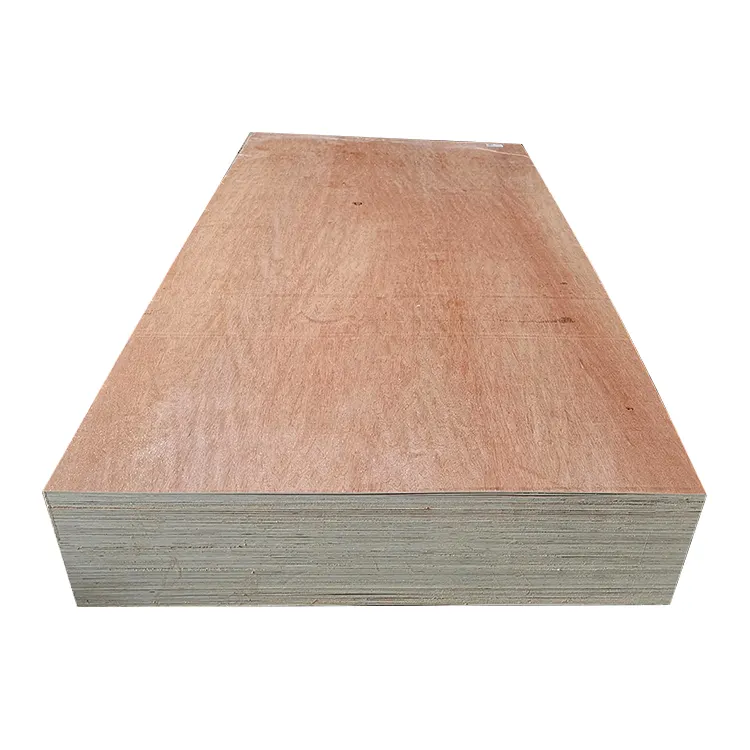 2-25mm 1220x2440mm Bintangor Plywood Wholesale Supplier