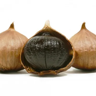 Whole head of black garlic with high nutritional value fresh raw garlic fermented