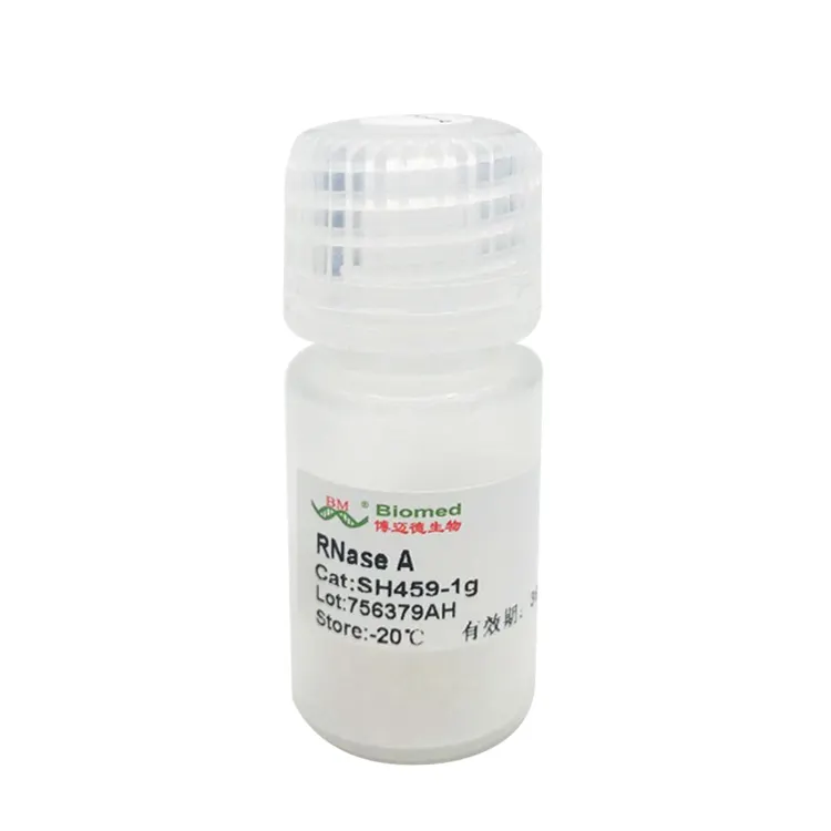 Wholesale Professional RNase A For Molecular Biology Experiments