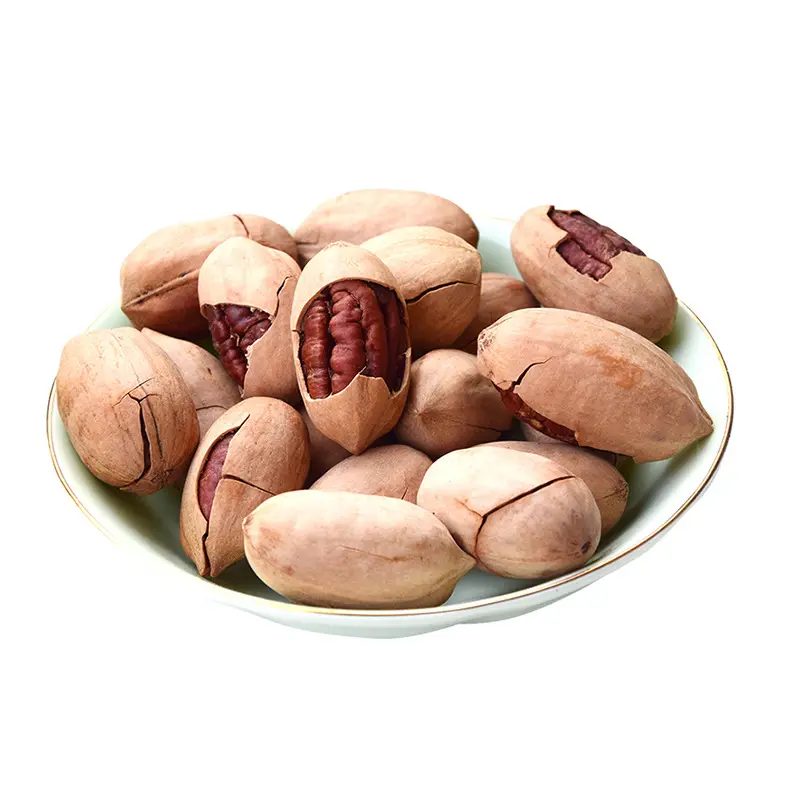 High Quality Grade Roasted Pecan Kernels in Shell