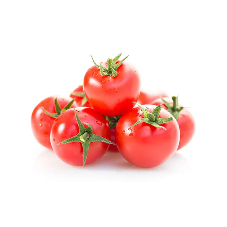 Wholesale Box Style Storage Packaging Fresh Tomato Price Fresh Tomatoes Albania Fresh Cherry Tomato