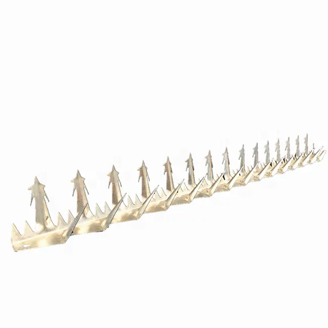 Large size shark tooth wall spike Hot dip galvanized