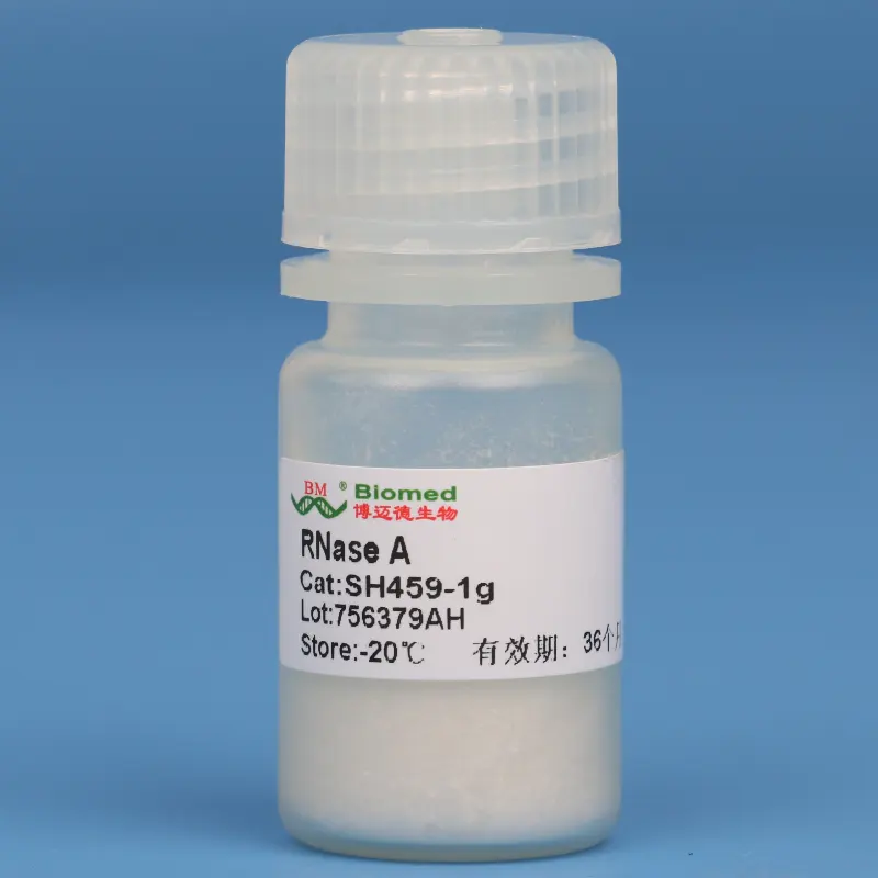 China Supplier OEM RNase A Dry Powder Biochemical Reagent