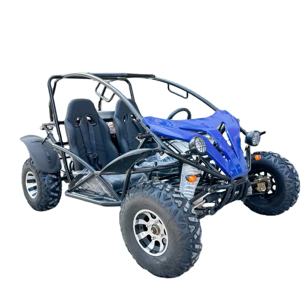 LNA fun and exciting 5000w electric buggy for adults