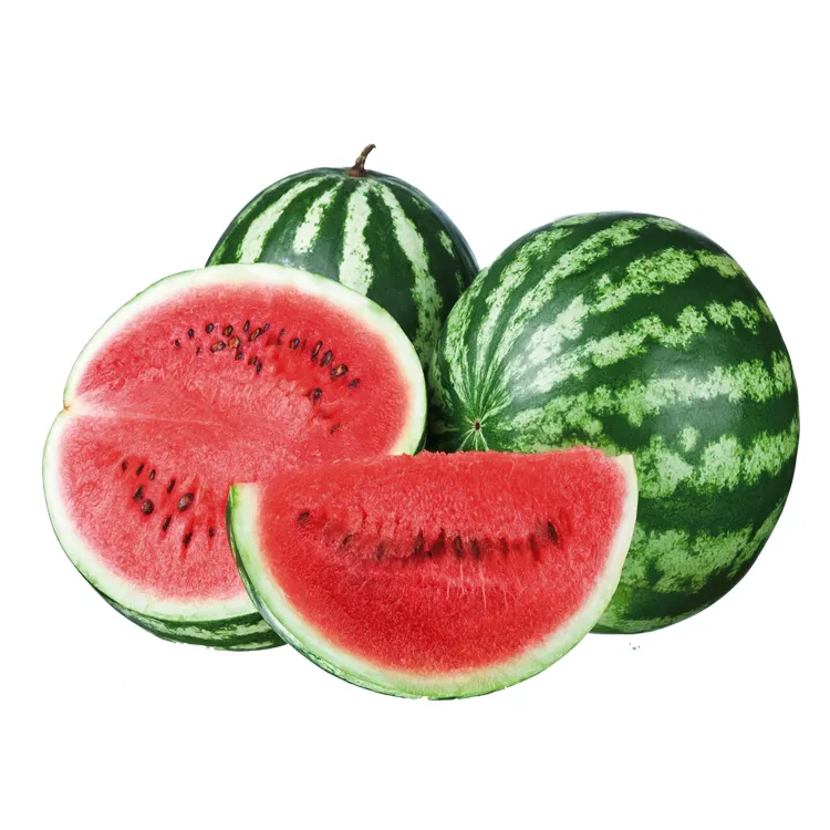 Wholesale Premium Quality Box Packaging Great Fresh Sweet Watermelons Fruit