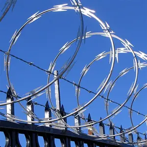 Hot Sales Anti Rust Anti Climb Hot Dip Galvanized Concertina Prices Razor Wire