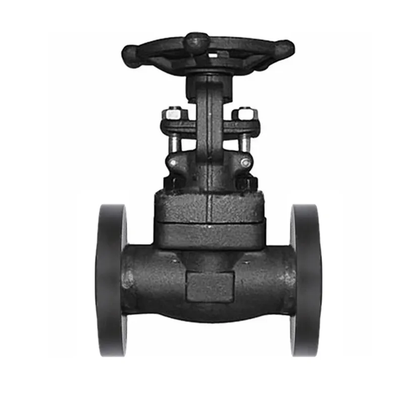 DN80 3 Inch Glandpacking A105N PN16 PN25 PTFE Forget Steel Handwheel Water Steam Oil Manual Flange End Globe Valve