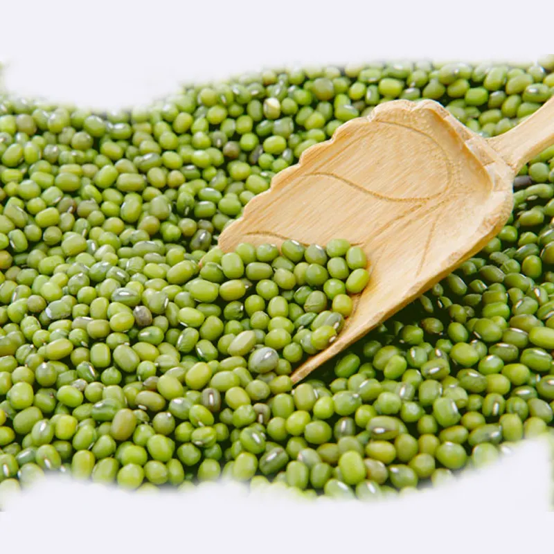 2021 wholesale Green mung beans for sprouting
