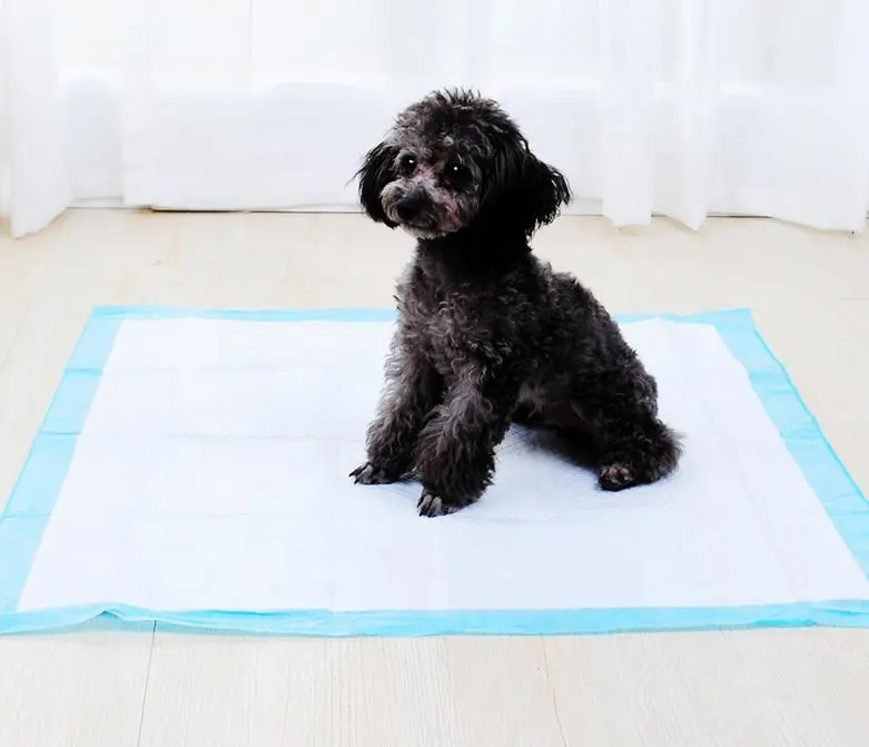 Training Pads For Dogs training Pet Pads Extra Absorbent dog Potty Training Pads