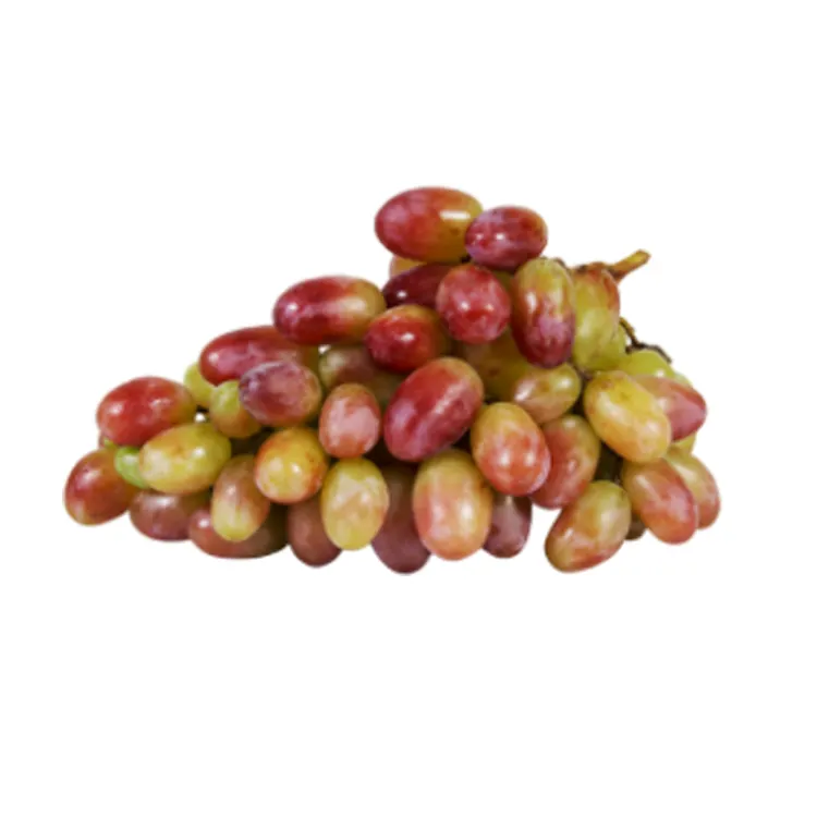 Wholesale Box Style Storage Packaging Grapes Plants Backwood Grape Export Grapes