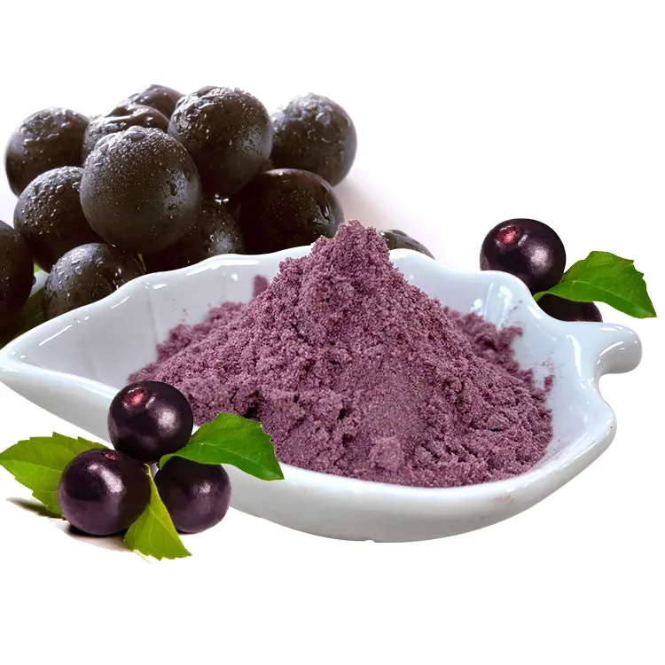 Acai Berry Powder Malaysia  Organic Fruit Powder  Acai Berry Powder Cheap Price Natural Acai Berry Extract Powder