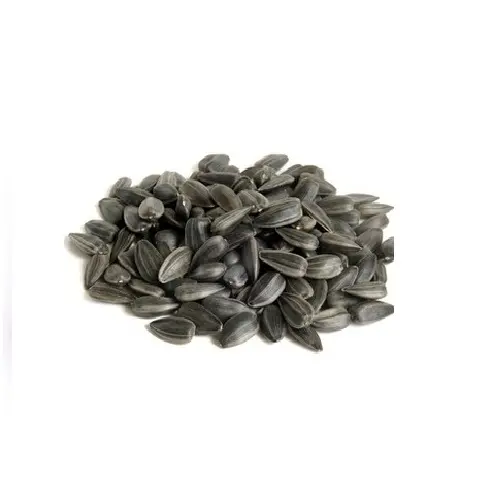 Wholesale price natural new crop sunflower seeds sunflower kernels in bulk from Kazakhstan supplier