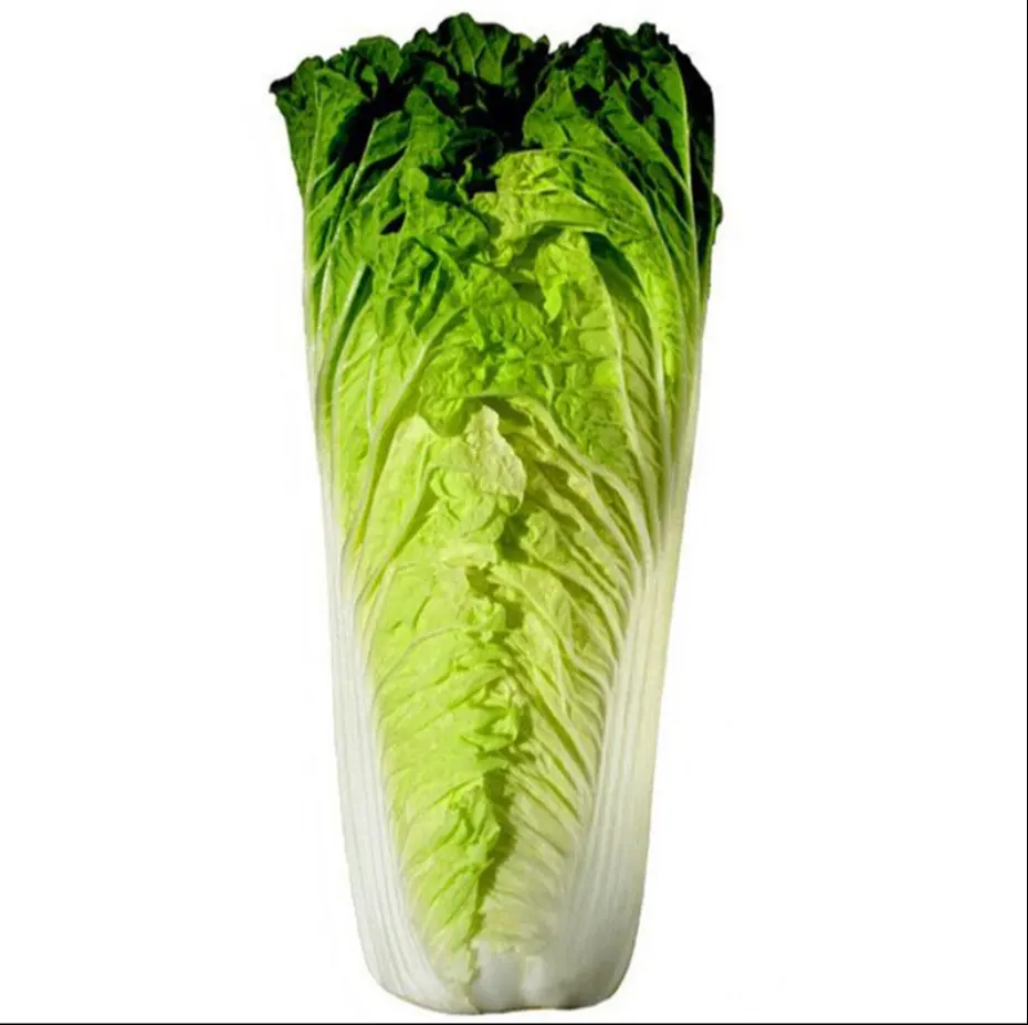 Best Price High Germination Rate Chinese Vegetable Green Cabbage Seeds