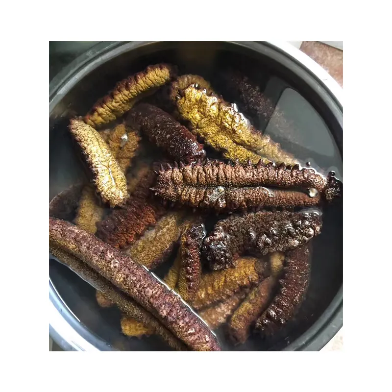 High Quality Holothurian Good Price Simonfish Amsterdam Frozen Seafood New Crop Premium Dried Sea Cucumber