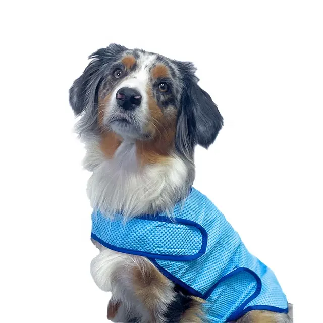 Забавный собачий охлаждающий жилет с логотипом под заказ, куртка, большое пальто, ледяной жилет для собак