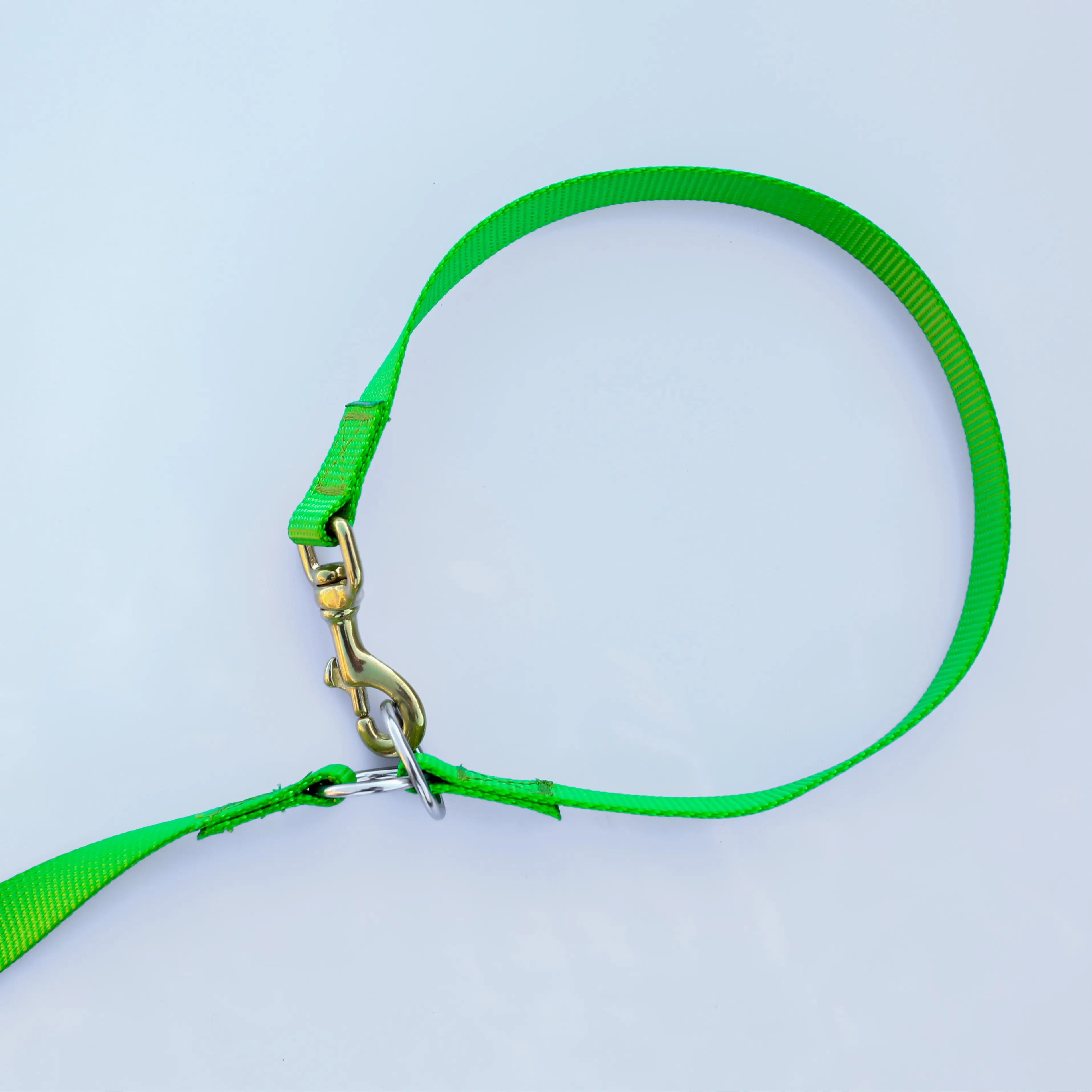 wholesale green leash and collar in one for dog training