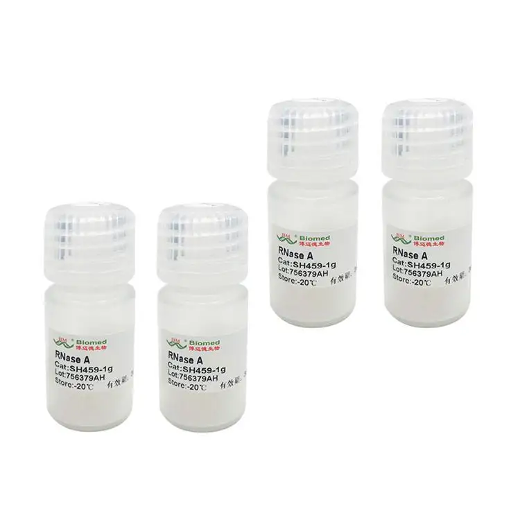 Cheap Price High Activity RNase A Lyophilized Powder rnase A dna purification lab reagent