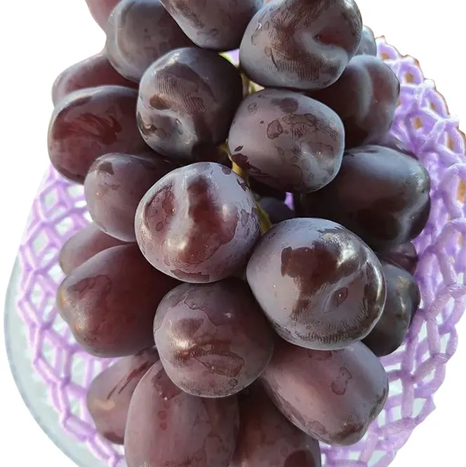 Hot Sales Premium Fresh Fruits Seeded Grape