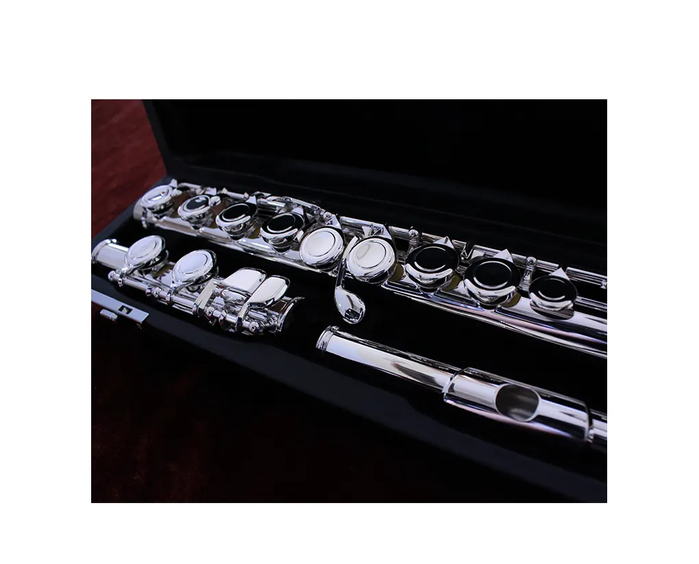 Good Quality C Tone Offset New Offset Alto Colse Hole Musical Flute Instrument