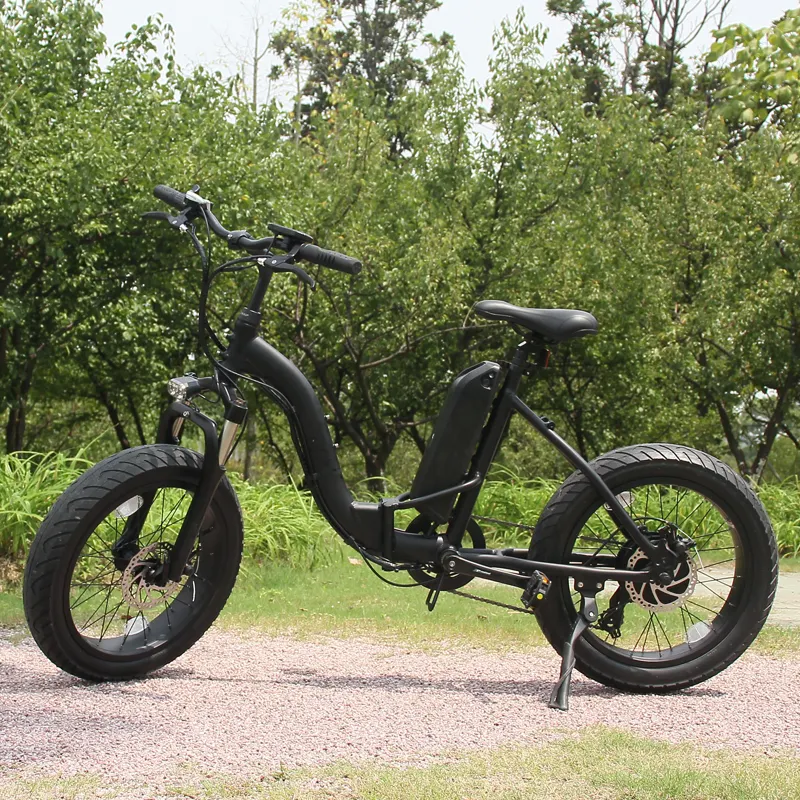 New Arrival Electric Bike 20 Inch Fat Tire Foldable 48v Folding e Snow Bike 500w With Disk Brake