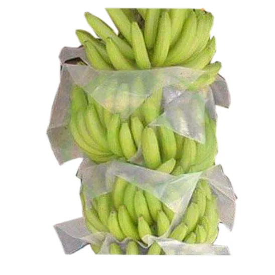 Polypropylene Nonwoven Spunbond Non-woven Nursery Grow Net Bags Rolls Agriculture 17gsm Pp Non Woven Fabric 100% Polypropylene