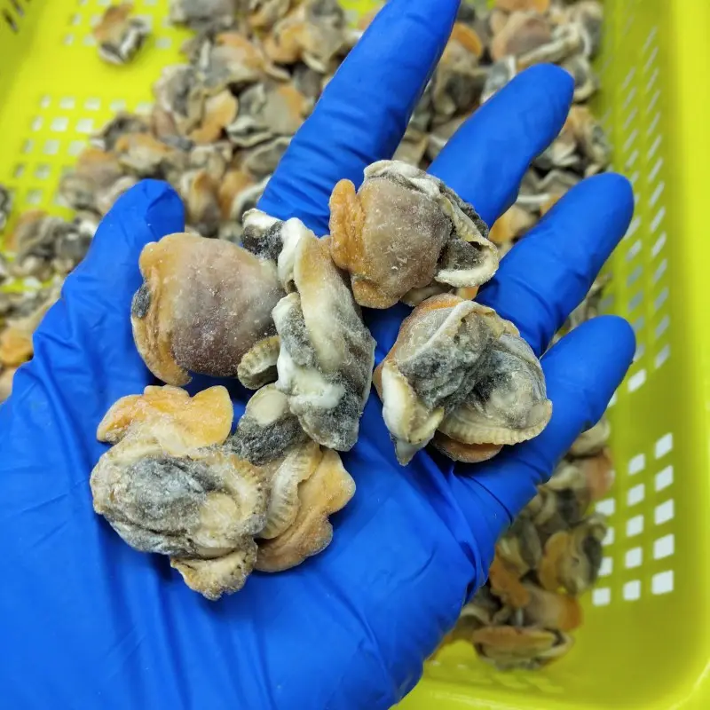 Китайская вкусная здоровая пища замороженная вареная свежая кровь из моллюсков
