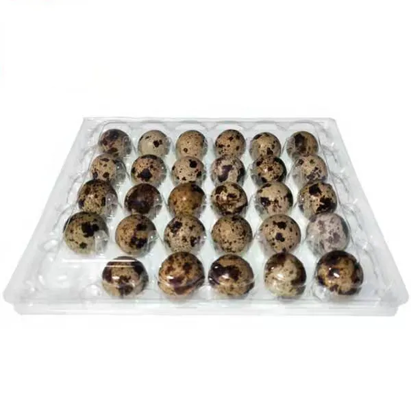 24 cells disposable plastic blister quail egg pack tray box