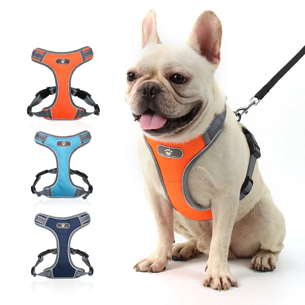 Collar For Pets Manufacturer Slip Rope Dog Collar Prevent Suffocation Reflective Pet Collars For Small Medium Large Dogs