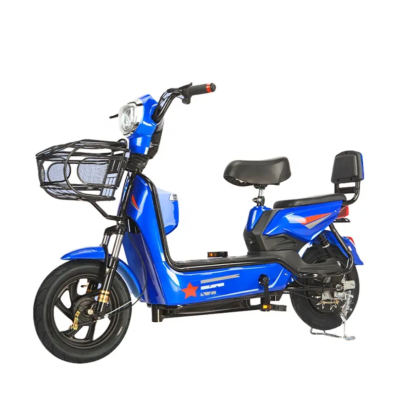 China 55Km Long Battery Life 250W Electric Bike Bicycle Folding Electric Bike