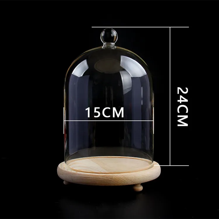 mini dome glass with glass dome cover for food