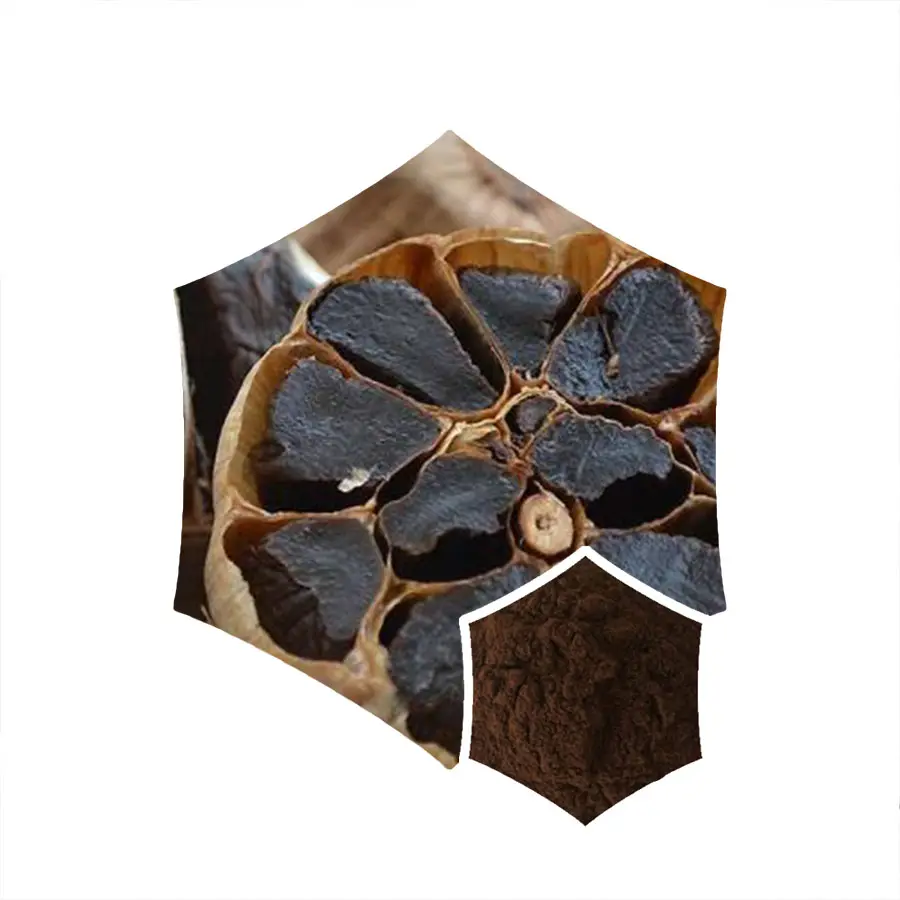 Wholesale Black Garlic Extract Black Garlic Powder