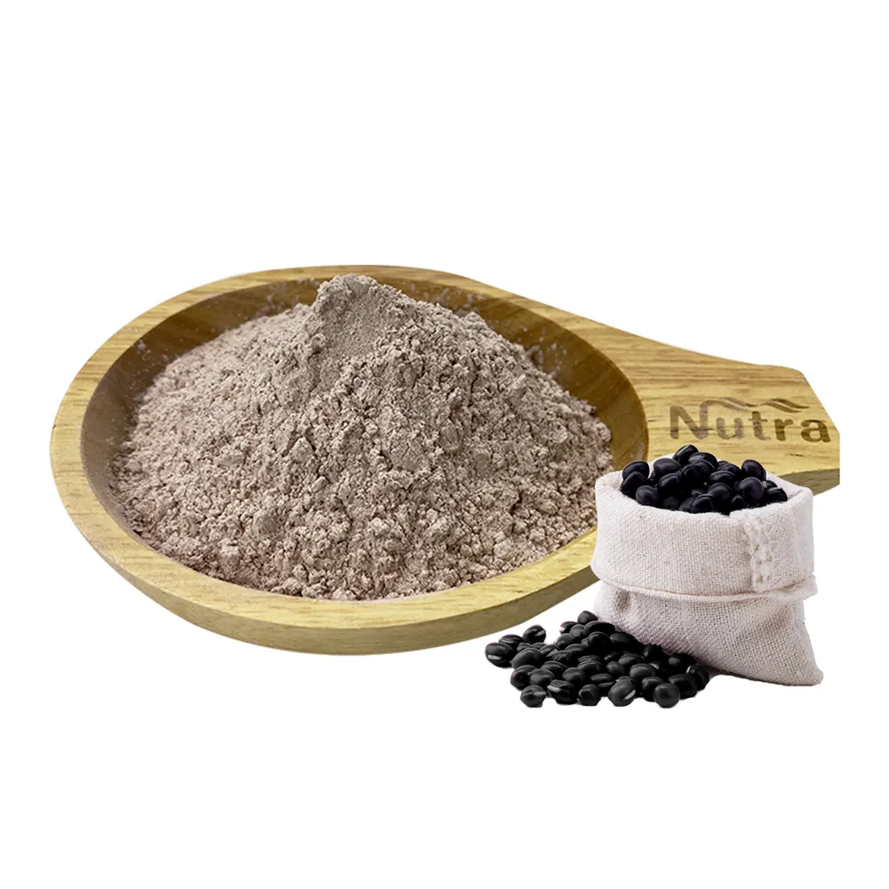 Pure Natural cooked Black bean powder Instant Natural Plant Extract Powder Black Bean Powder