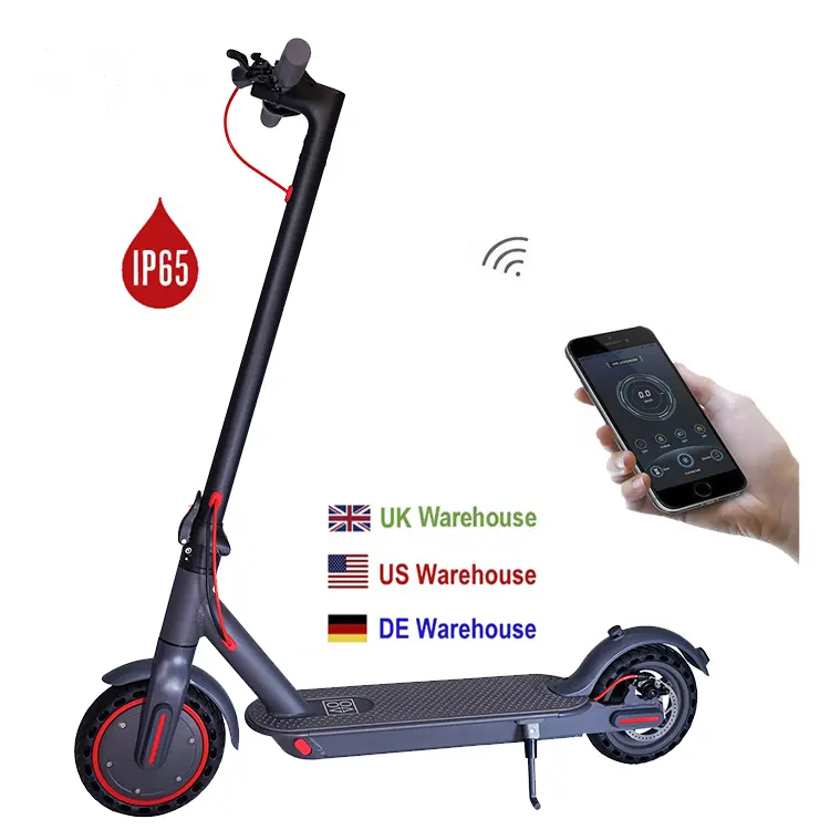 EU UK US warehouse 2021 Hot Sale Electric Folding Scooter 300w with Two Wheels for Adult