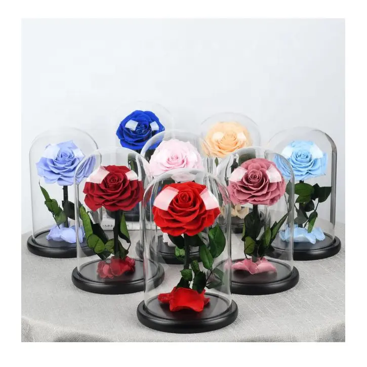 Wholesale eternal rose decorative flower Mothers Day Gifts Preserved rose in Glass Dome with led light