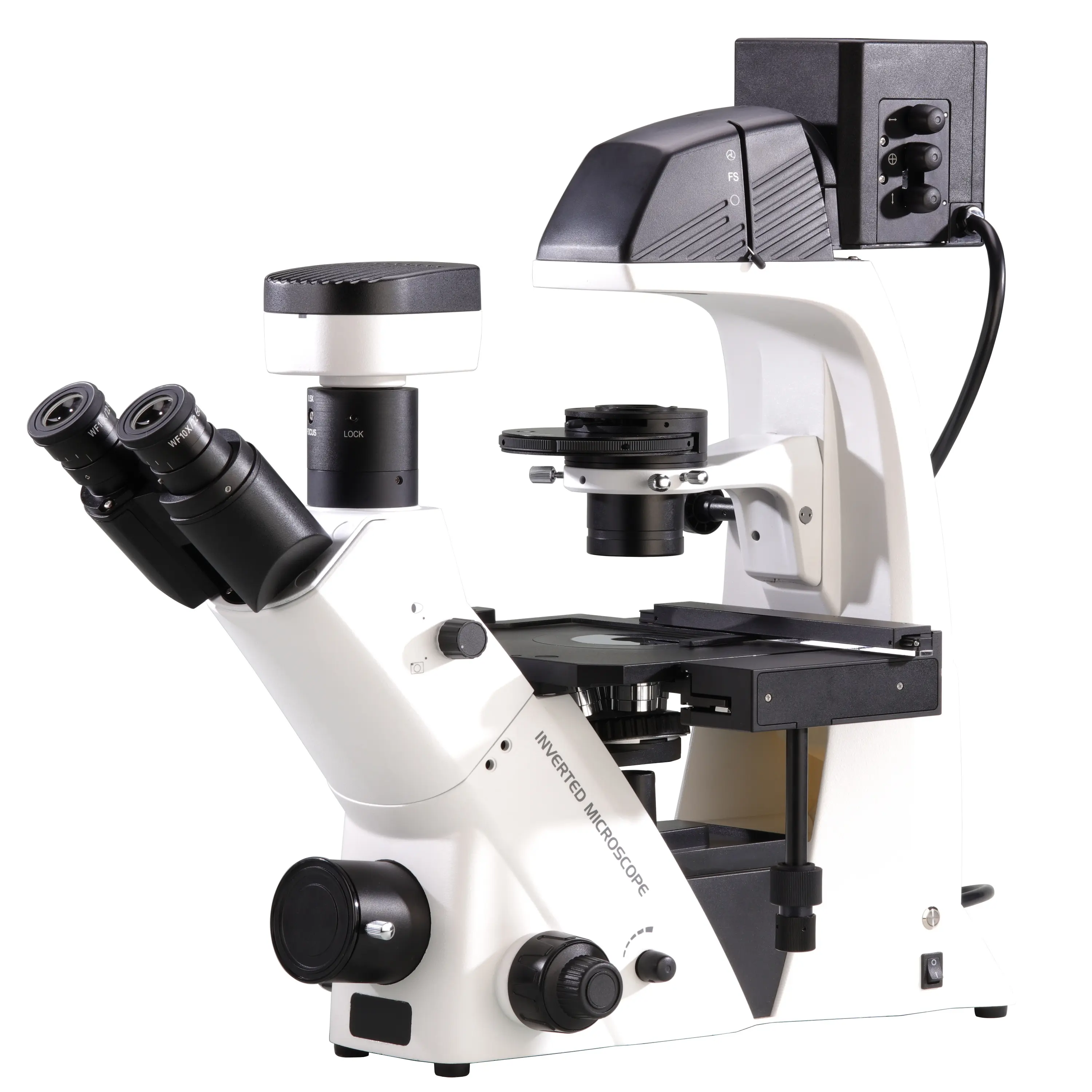 BestScope BS-2093B инвертированный Биологический микроскоп высокого уровня WF10x/ 22 мм микроскоп для наблюдения за культивированными живыми ячейками