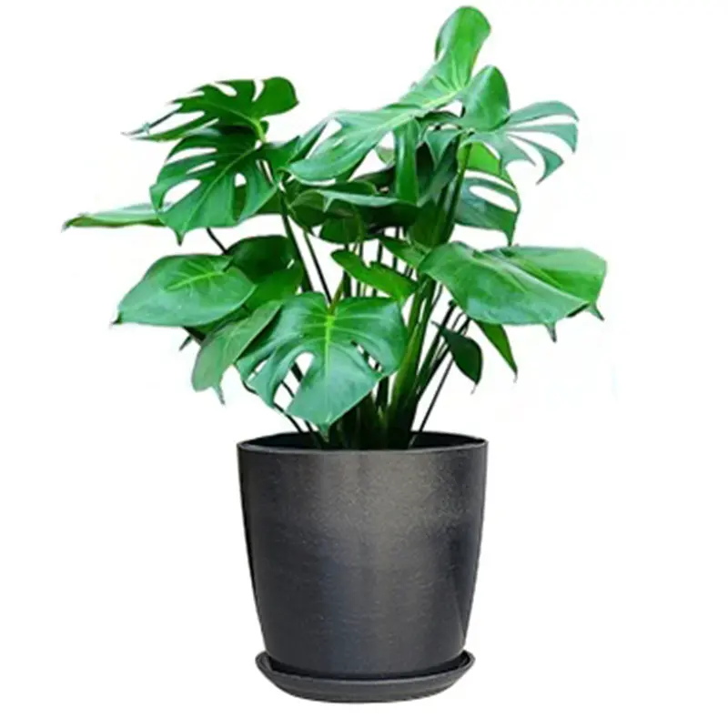 Best Seller Nordic Style Flower Pot Bamboo Fiber Flower Pot for growing plants