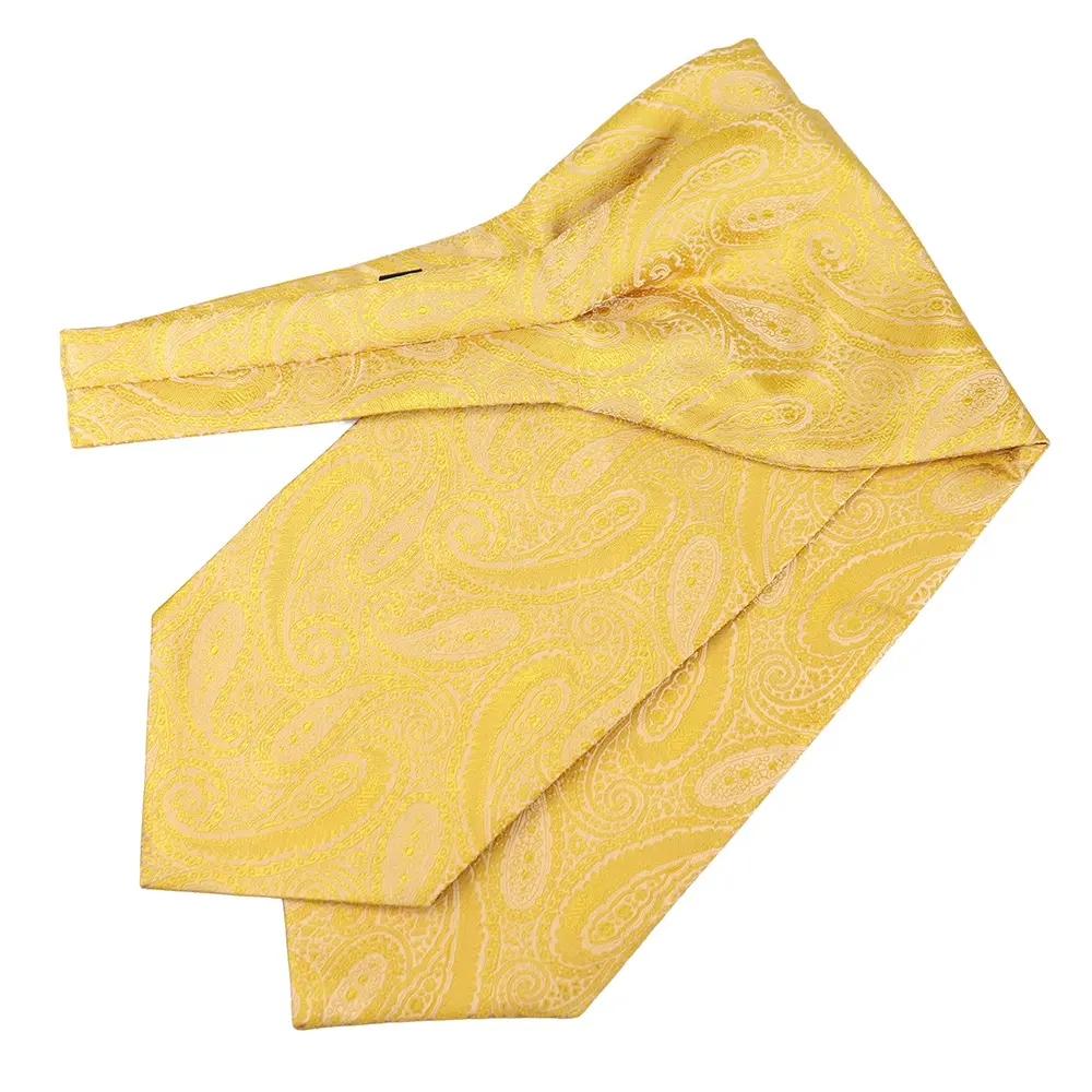 Elegant Yellow Polyester Woven Embroidered Tie Paisley Pattern Hot Selling Mens Party Cravate Ascot