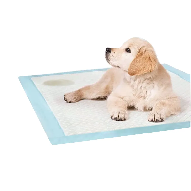 Amazon Top Seller Free Samples Pet Accessories Disposable Pet Pads Training Pee Pads for Dog