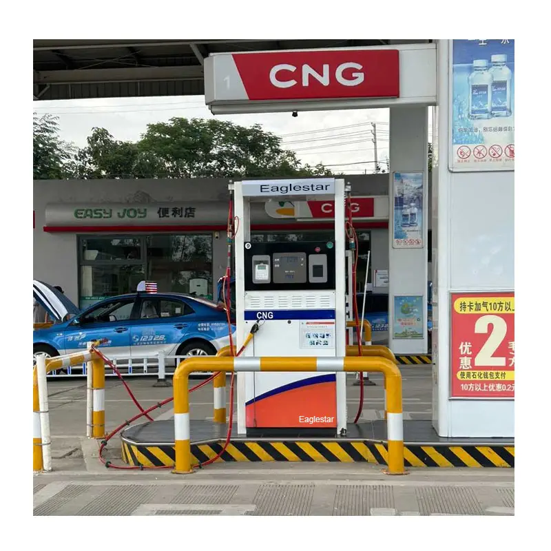 Газозаправочная станция Южная Африка Cng домашняя заправочная станция CNG диспенсер цена