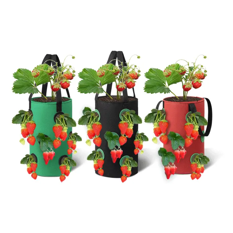 Factory wholesale custom 5 7 10 Gallon breathable thicken heavy duty strawberry plant grow bags with handle for tree vegetable