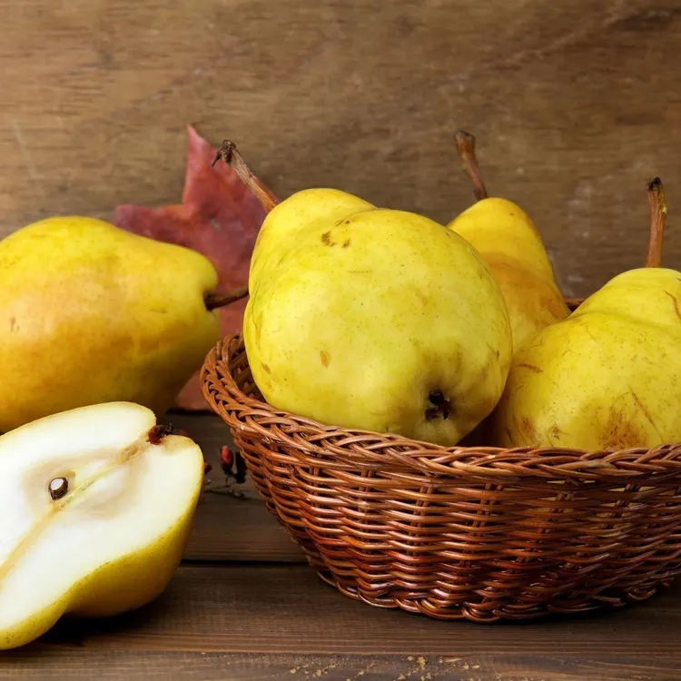 Fresh Yellow Pear For Sale Fresh Fruits Pears Quality Pears