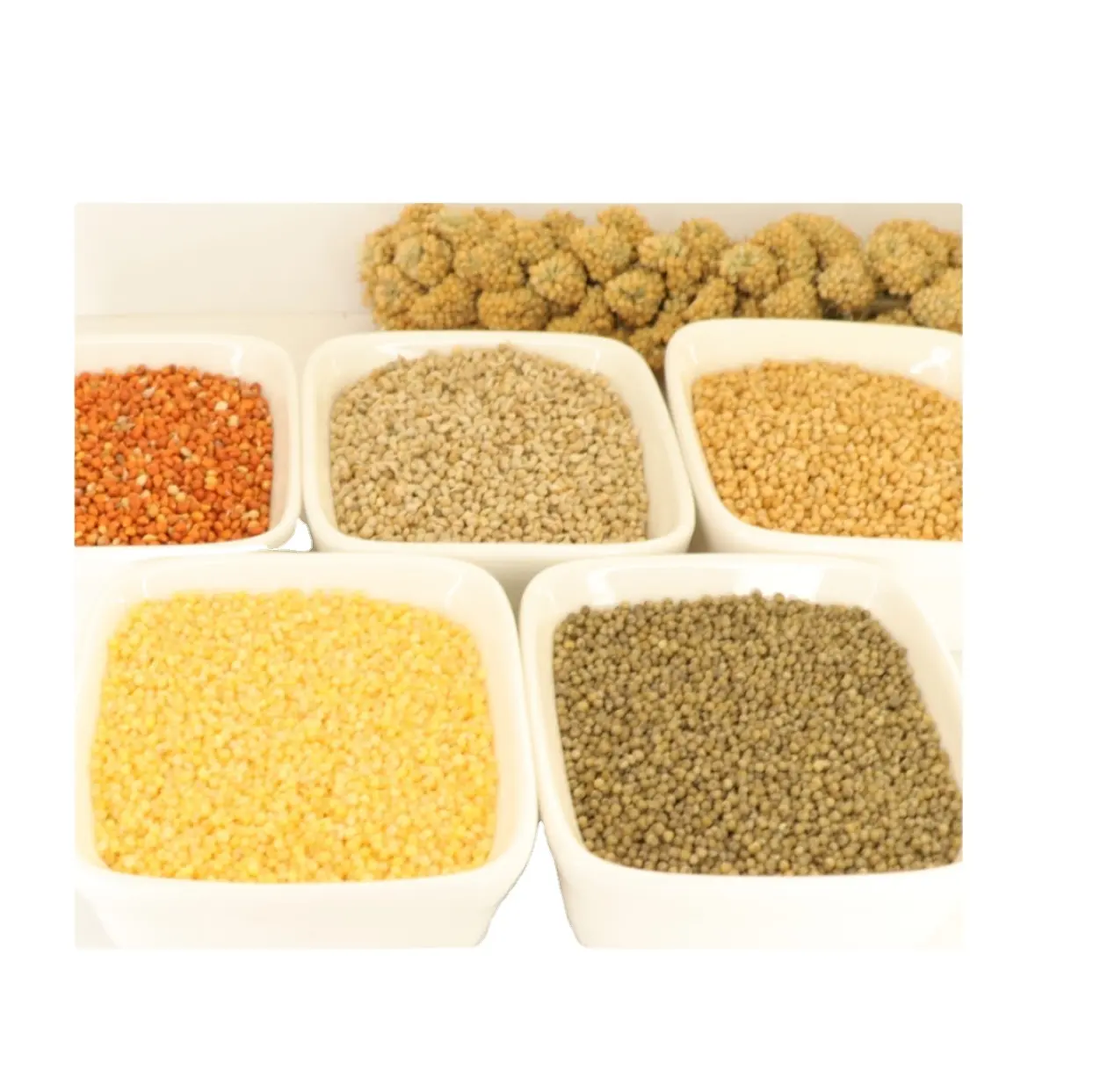 organic millet high nutrition prices bulk cheap pearl millet sales pearl for sale cheap for sale  organic millet