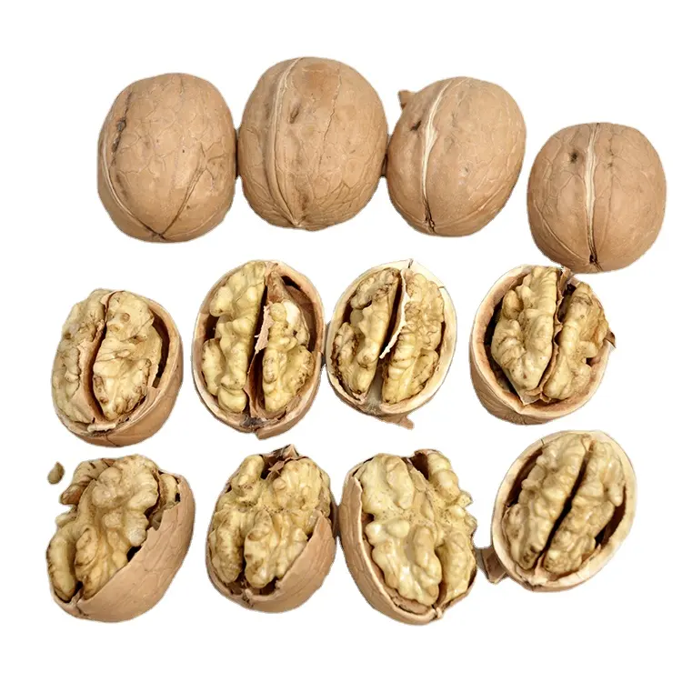 Wholesale New Crop Fresh Peeled walnut kernels xiner thin walnut kernel china from Xinjiang Organic walnut kernels