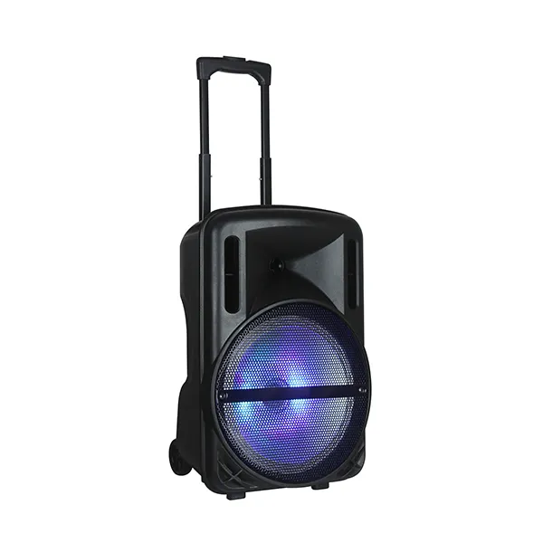 12 Inch portable trolley bluetooth speaker outdoor karaoke trolley karaoke speaker with wireless mic